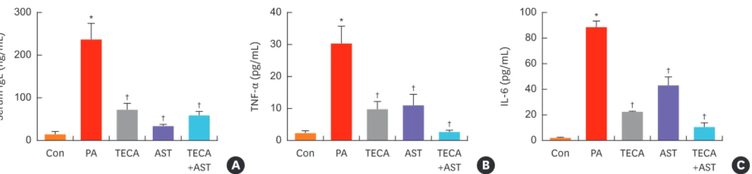 Fig. 3. Changes in serum cytokine concentration. After the final treatment, mice from each group were euthanized under anesthesia