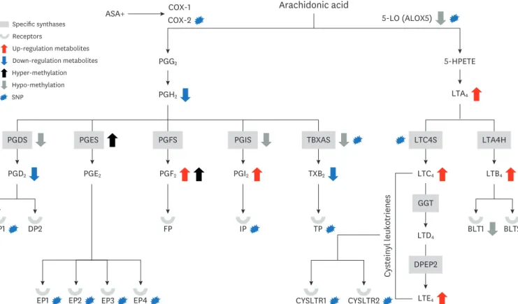 Fig. 8. NERD severity and its clinical phenotypes are affected by DNA methylation and genetic variation within genes of associated with multiple pathways for  arachidonic acid metabolism