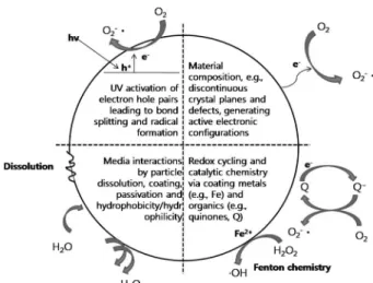 Figure 8. Possible mechanisms by which nanomaterials interact with  biological tissue[10].