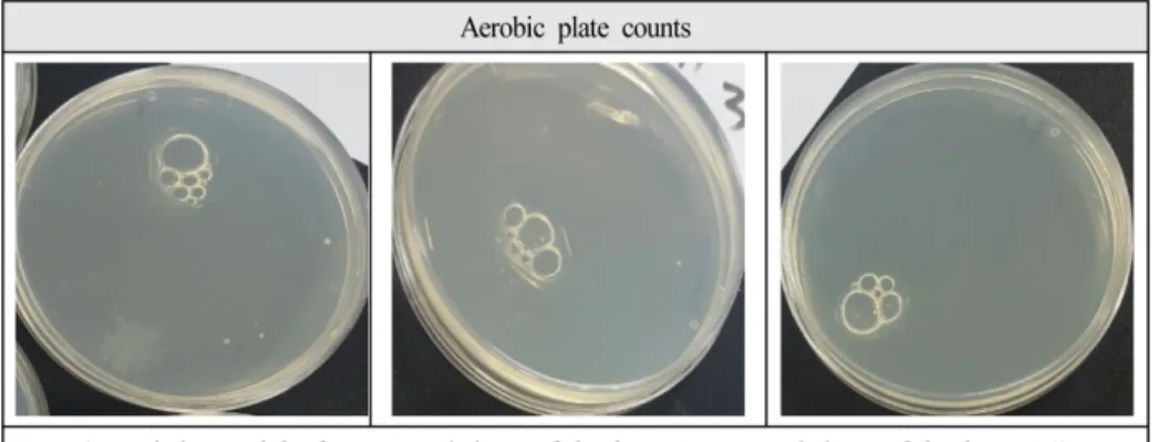 Figure 5. Aerobic plate counts of the dried type bibimbap