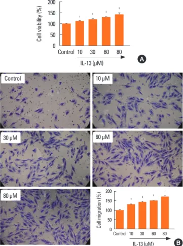 Fig. 1. Treatment with IL-13 induces proliferation and migration of BSMCs. (A)  MTT assay was performed to evaluate the effects of IL-13 on the proliferation of  BSMCs