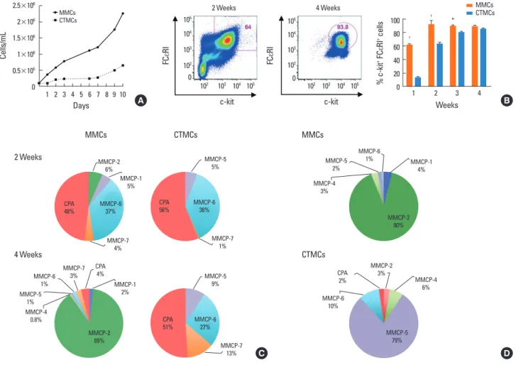 Fig. 1. Maturation and differentiation of MMCs and CTMCs from bone marrow progenitors