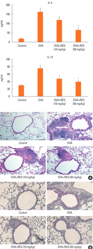 Fig. 4. Effects of resveratrol on peribronchial inflammation in lung tissue. (A)  The fixed tissues were embedded in paraffin, sectioned (4-µm thick), and then  stained with H&amp;E (×200)