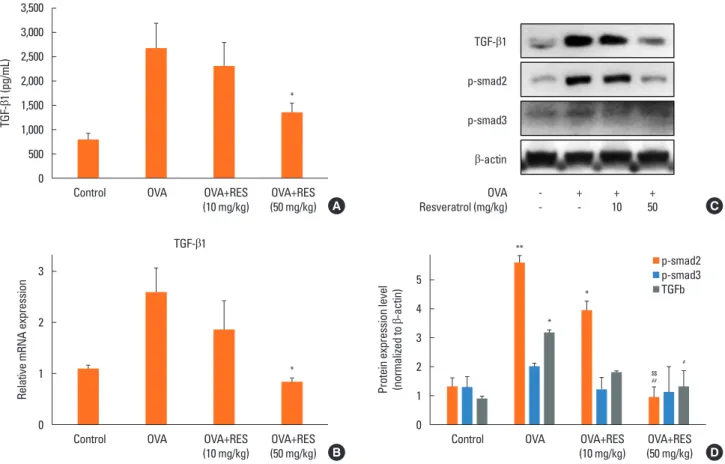 Fig. 7. Effect of resveratrol on the expression of TGF-β1 and phosphorylated (p)-Smad in BAL fluid and lung tissues