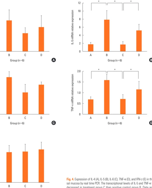Fig. 4. Expression of IL-4 (A), IL-5 (B), IL-6 (C), TNF-α (D), and IFN-γ (E) in the na- na-sal mucosa by real time PCR
