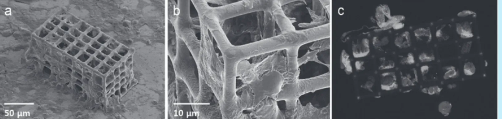 그림 7     3차원 공정 시스템을 이용하여 제작한 다양한 구조물; Nano-/Micro fluidic channel(좌), Micro-lens(중), Mechanical element(우)   (http://www.nanoscribe.de)