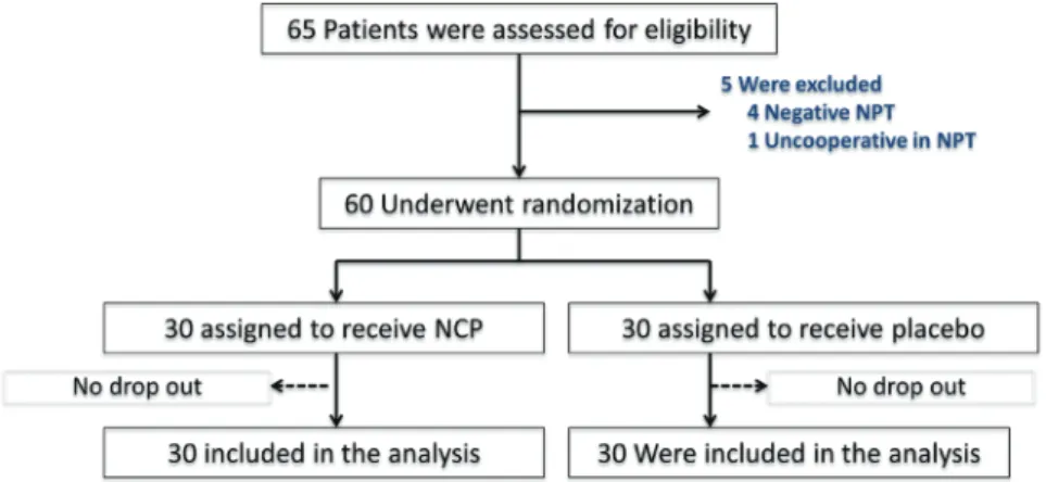 Fig. 2. Diagram of the study flow. NCP, nasal cellulose powder; NPT, nasal provocation test.