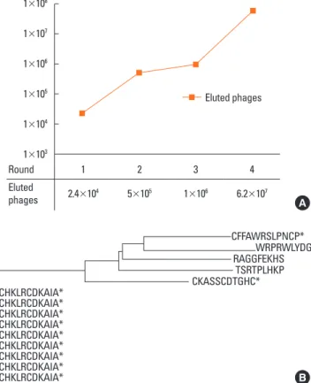 Fig. 1. Binding characteristics of the monoclonal antibody BIP3 on birch pollen  extract and cross-reactive allergens Panel A BIP 3 recognizes higher molecular  weight proteins in blotted birch pollen extract, which, to a great part, is  abro-gated after p