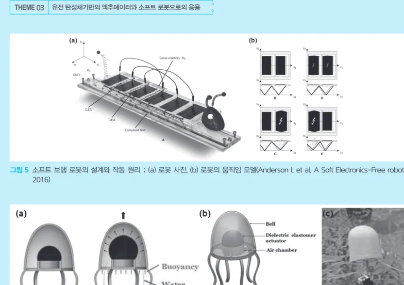 그림 5    소프트 보행 로봇의 설계와 작동 원리 ; (a) 로봇 사진, (b) 로봇의 움직임 모델(Anderson I. et al, A Soft Electronics-Free robot  2016)