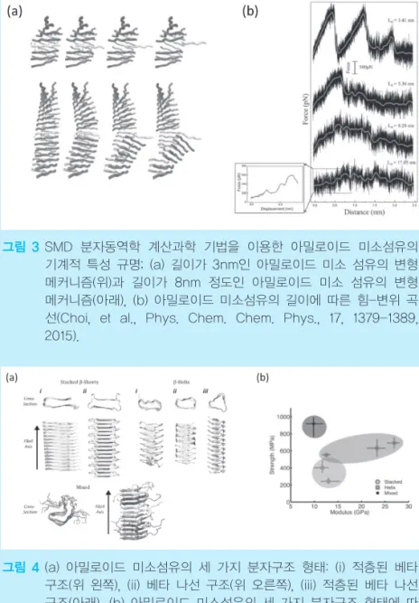 그림 4 (a) 아밀로이드 미소섬유의 세 가지 분자구조 형태: (i) 적층된 베타 구조(위 왼쪽), (ii) 베타 나선 구조(위 오른쪽), (iii) 적층된 베타 나선 구조(아래), (b) 아밀로이드 미소섬유의 세 가지 분자구조 형태에 따 른 기계적 특성을 보여주는 Ashby  Chart(Solar  and  Buehler, Nanotechnology, 25, 105703, 2014).