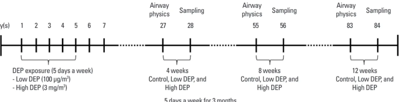 Fig. 1. Schematic diagram of the experimental protocol. Mice were exposed to DEPs 5 days a week for 3 months and either 100 µg/m 3  or 3 mg/m 3  DEPs (or saline as  a control) using an ultrasonic nebulizer