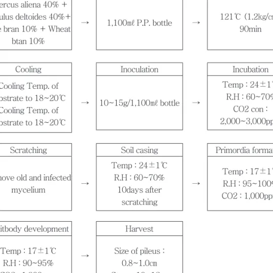 Fig. 1. Processing of Bottle Cultivation of L. decastes.