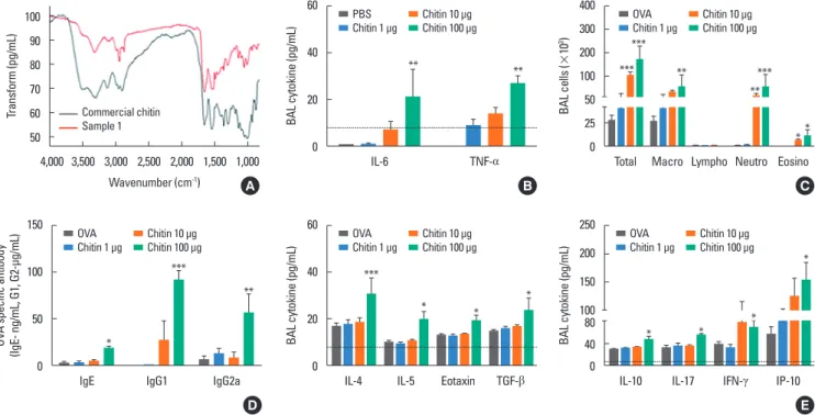 Fig. 2. Chitins extracted from HDM have an adjuvant effect to enhance adaptive immune response to inhaled allergens