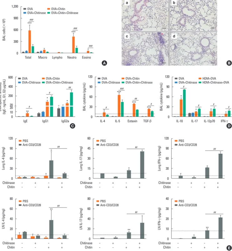 Fig. 4. OVA-induced Th2-cell response enhanced by HDM-derived chitin is abolished by chitinase treatment