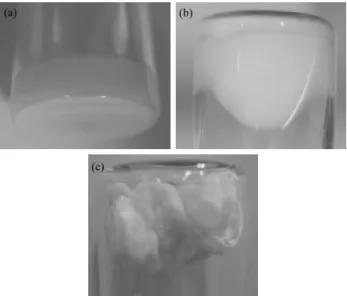 Figure 6. FE-SEM images of Y1 (a), Y2 (b) and G3 (c) phosphor.