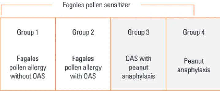 Fig. 1. Classification of participating patients into 4 groups. OAS, oral allergy  syndrome.