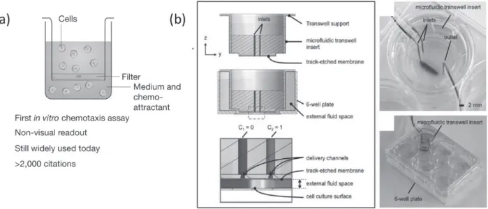 그림 2 Membrane을 이용한 3차원 세포 배양 방법: (a) 전통적으로 이용되는 Boyden chamber에 세포를 배양하는 방법(E.K.