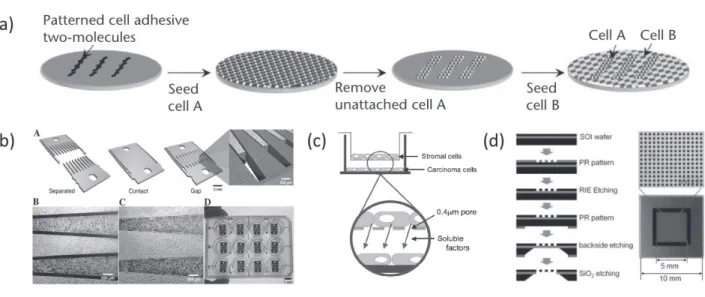 그림 4 여러 가지 공배양 기술: (a) 세포 특이적 항체 고정화를 이용한 세포 공배양 기술(S.N. Bhatia et al, J. Biomed. Mater.