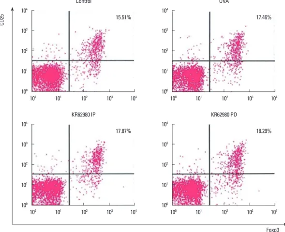 Fig. 7. Effects of KR62980 on the induction of the regulatory T-cell subgroups. After sensitization and challenge with OVA, a slight increase in CD4+CD25+FoxP3+  