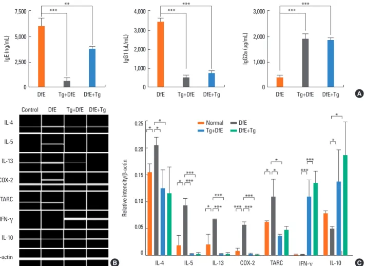 Fig. 3. T. gondii infection changed the immune response from Th2 to Th1 in DfE-induced atopic dermatitis