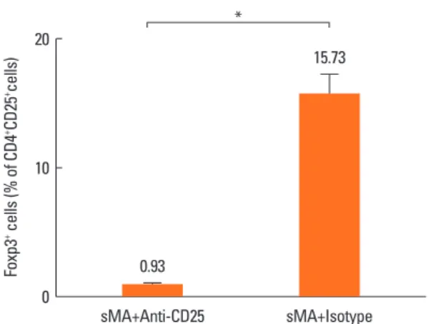 Fig. 4. Effect of sMA on the percentage of Foxp3 +  Treg cells on the splenocytes. 