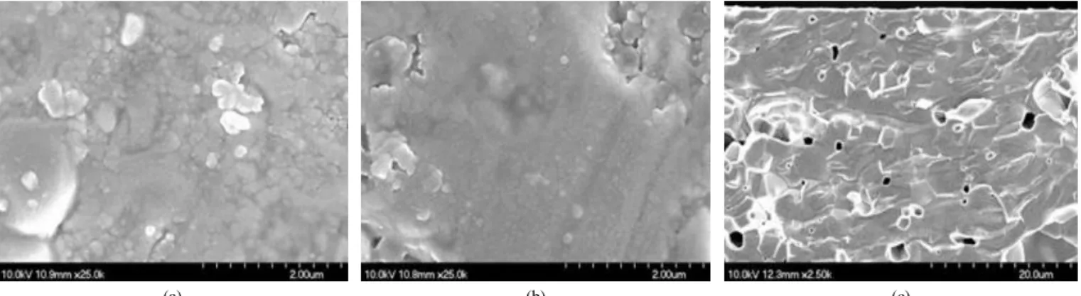 Figure 10. SEM images of LSCF-7328 membrane after oxygen permeation test: (a) feed side, (b) permeation side, and (c) cross section