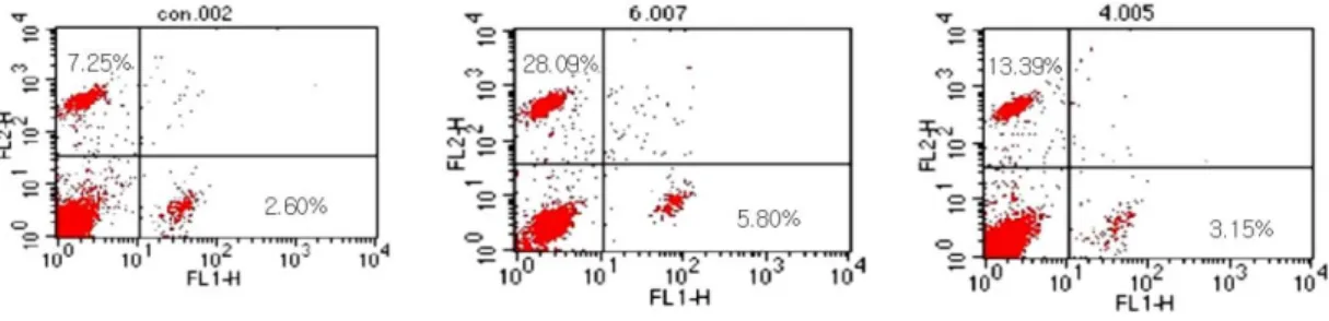 Fig. 5. FL2 histogram for analysis of expression of CD25 molecules.