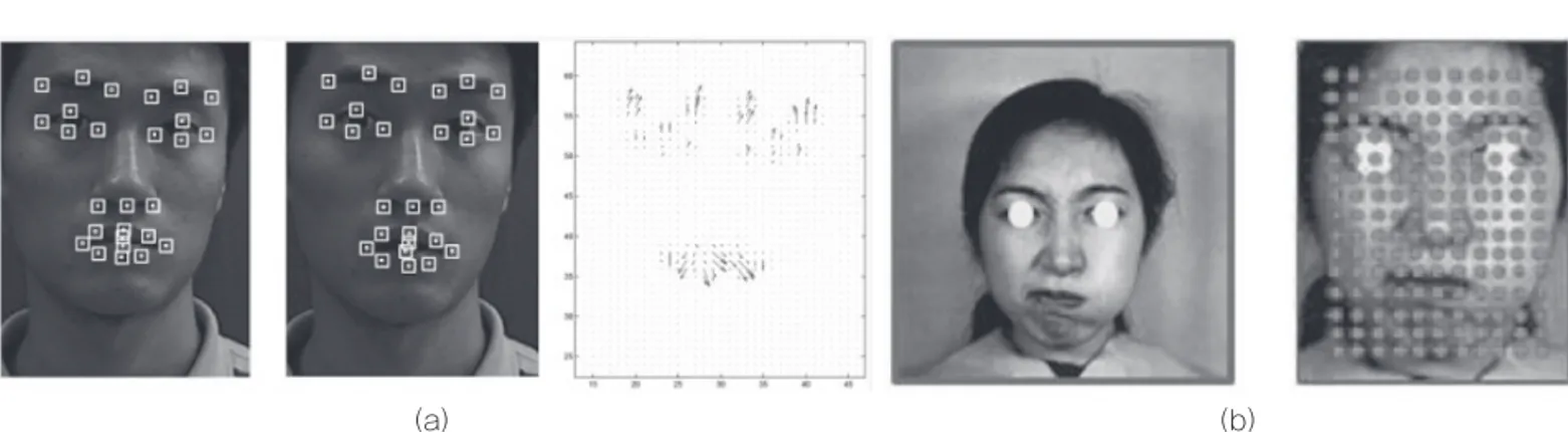그림 3 얼굴표정에 대한 특징추출 방법: (a) 기하학적 특징추출의 예; (b) 외관 특징추출의 예(이상무, KEIT PD Issue Report 2011)