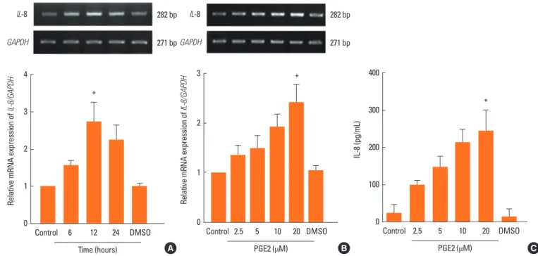 Fig. 2. Effect of PGE2 on IL-8 expression in NPDFs. (A) NPDFs were stimulated with PGE2 (20 μM) in a time-dependent manner