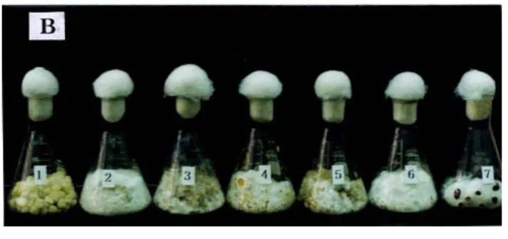 Table 2. Effect of heating time of solid grain media on the mycelial growth of P. ostreatus