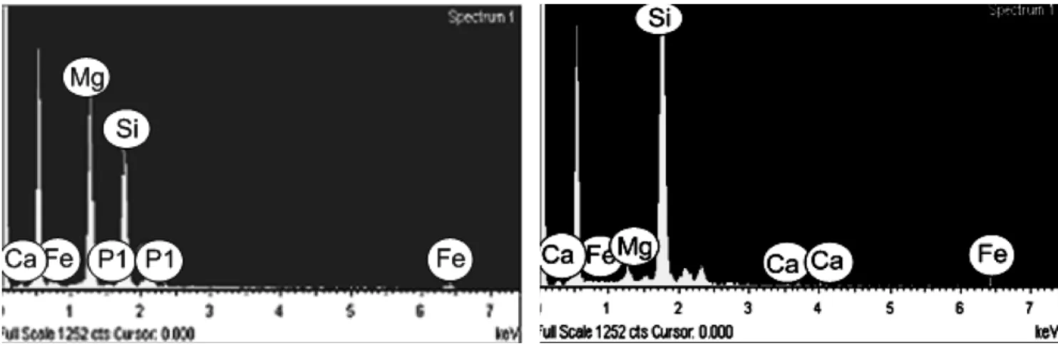 Figure 5. SEM-EDX data of the raw serpentine (left) and H 2 SO 4  chemically activated (right) serpentine samples.