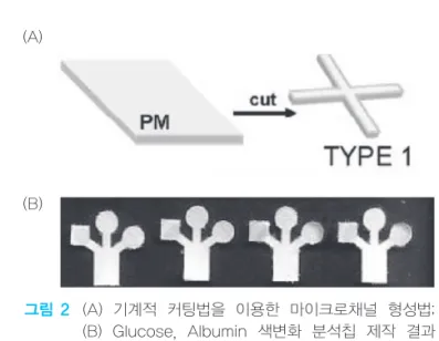 그림 3 색변화 검출법 이용한 Glucose, 단백질 분석 종이 센서(Angew. Chem. Int. 2007, 46, 1318-1320)