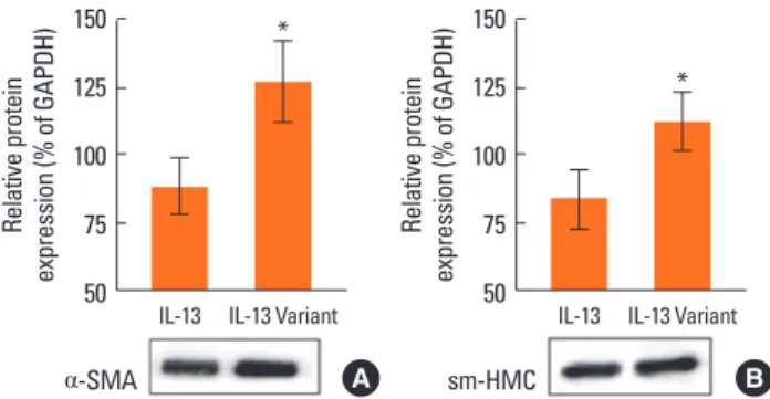 Fig. 2A and B), suggesting that the IL-13 R110Q polymorphism  is associated with the increased expressions of phenotypic ASM  markers.