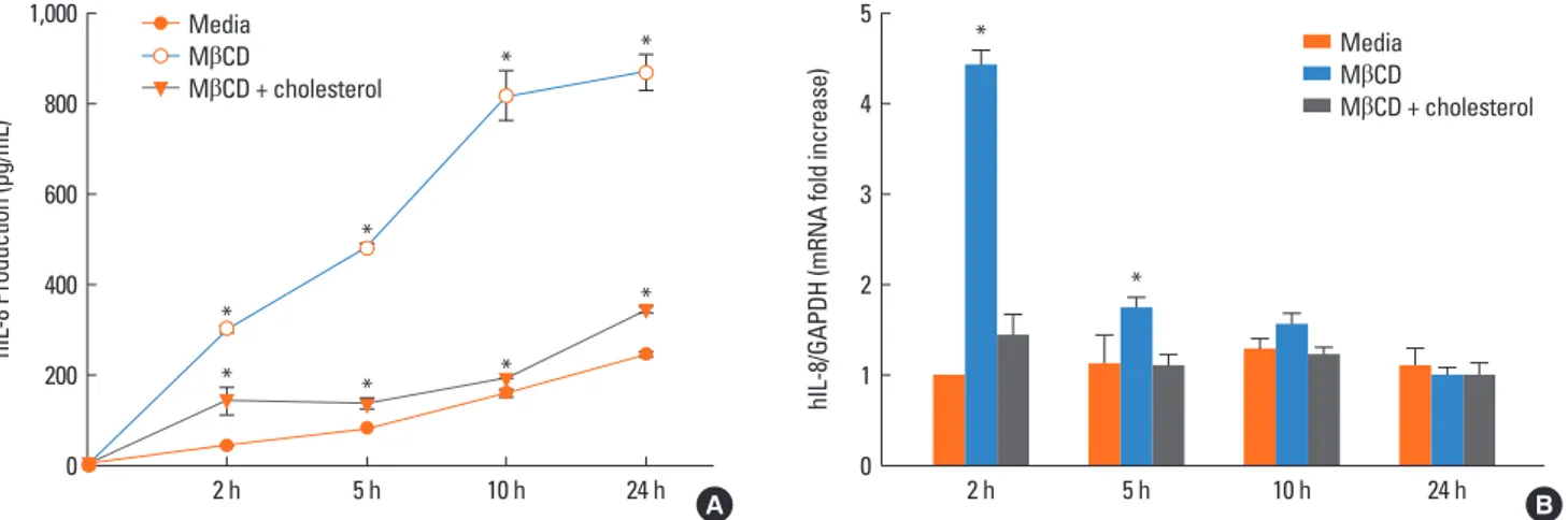 Fig. 3. Effects of cholesterol depletion on IL-8 production in airway epithelial cells