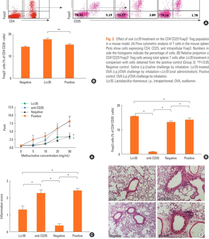 Fig. 3.  Effect of oral Lcr35 treatment on the CD4 + CD25 + Foxp3 +  Treg population  in a mouse model. (A) Flow cytometric analysis of T cells in the mouse spleen.   Plots show cells expressing CD4, CD25, and intracellular Foxp3. Numbers in-side the histo