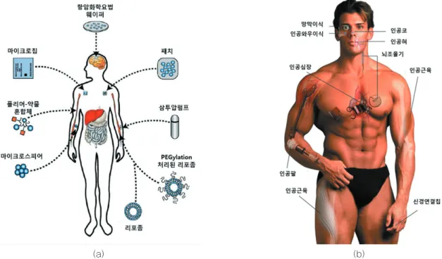 그림 1 (a) 바이오 재료를 이용한 다양한 약물전달장치(MA Moses et al, Cancer Cell, 2003 (4) 337) (b) 바이오 재료를 이 용한 생체조직공학용 디바이스의 예(J Kohn, Nat Mater, 2004 (3) 745)