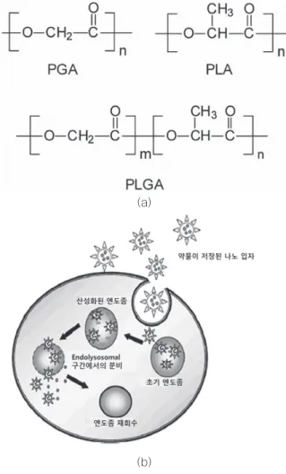 그림 3 (a)  PGA,  PLA,  PLGA의 분자 구조(www.