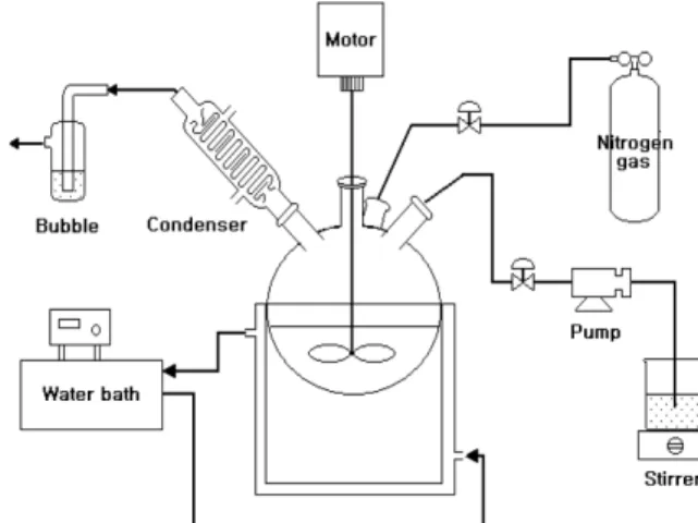 Figure 1. The process equipment for emulsion polymerization.
