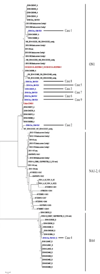 Fig. 1. Phylogenetic analysis of the RSV-A/RSV-B strains using partial G protein  sequences and reference sequences of identified genotypes