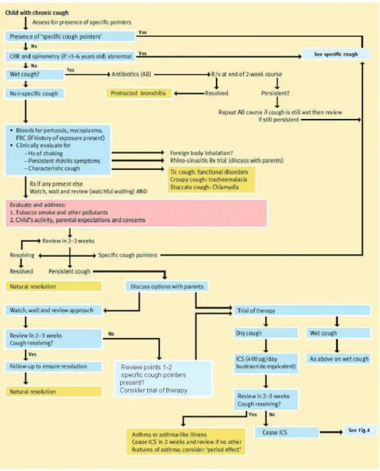Fig. 6. The approach to a child with nonspecific chronic cough. Modified from Chang AB, Paediatr Child Health 2008;18:333-9, with permission of the Elsevier