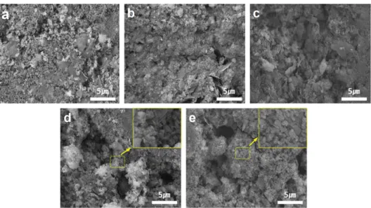 Fig. 11. SEM images of 40HA with different immersion times; a: before immersion, b: after 1 day, c: after 5 days, d: after 7 days  and e: after 14 days.