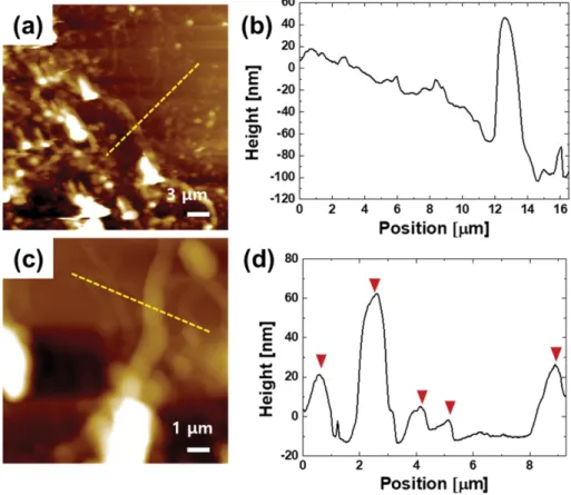 Fig. 2. Characterization of CNT on Si wafer, using atomic force microscopy (AFM). (a) AFM image of CNT on Si substrate for  30 m scan size