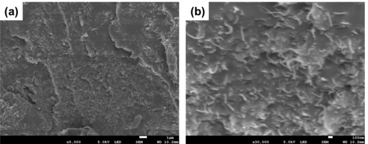 Fig. 4. Measurement of tensile strength with glass fiber composite samples. (a) Fiber composite sample mounted in the testing machine