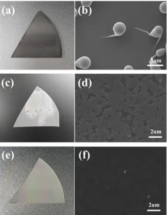 Figure  1(a),  (b)는  -Ga 2 O 3   박막  성장  시  VI족  원소 전구체,  즉  H 2 O의  유량  비율이  108 mol/min으로  매우 낮을  경우에  성장된  시료를  육안으로  관찰한  모습(a)과 SEM  image(b)이다