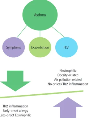 Fig. 1. The key clinical features (lung function, symptoms and exacerbations)  and characteristic of asthma.