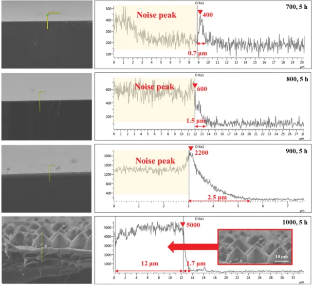 Fig. 1. Cross-sectional SEM images and EDS graph of the thermally treated AlN with different temperatures for 5 h.