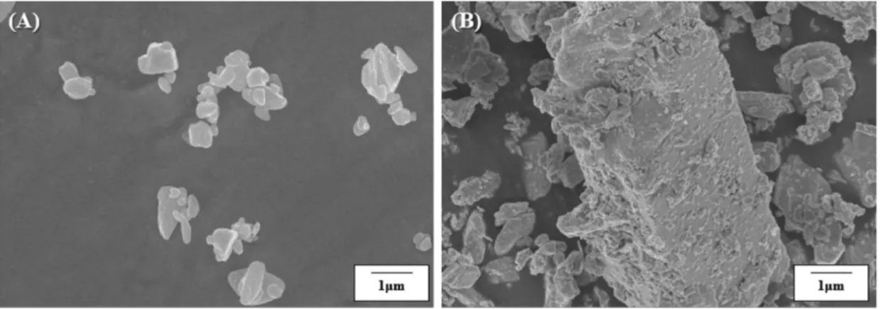Fig. 2. LV-SEM image of positive plate: (A) NS and (B) INS.