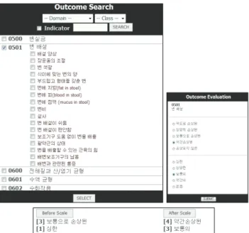 Figure  2.  Selection  of  indicators  and  measurement  scale  for  nursing  outcomes