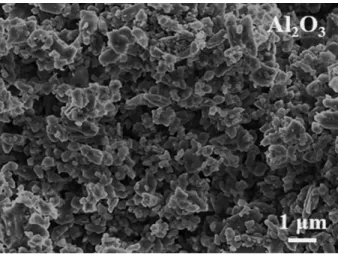 Figure  2에는  산화코발트의  첨가량에  따른  소결체의Fig. 1. FE-SEM micrograph of Al2O3 powder.