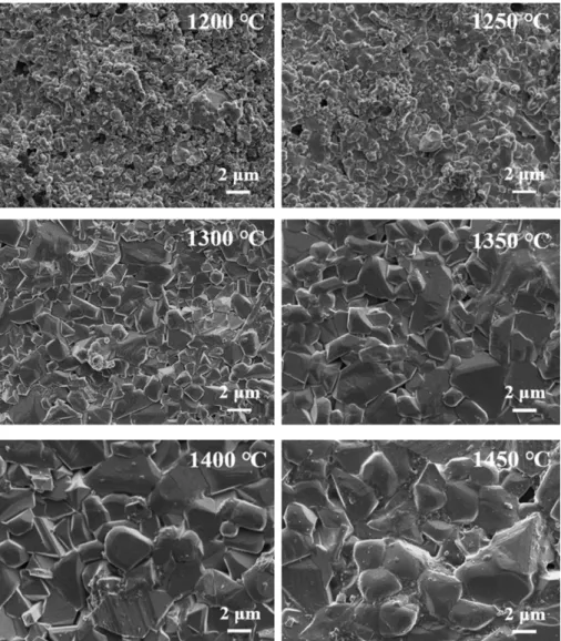 Fig. 4. Microstructures (surface) of liquid phase sintered 92 % Al 2 O 3  with an addition of 11 wt% Co 2 O 3  at various sintering temperatures.